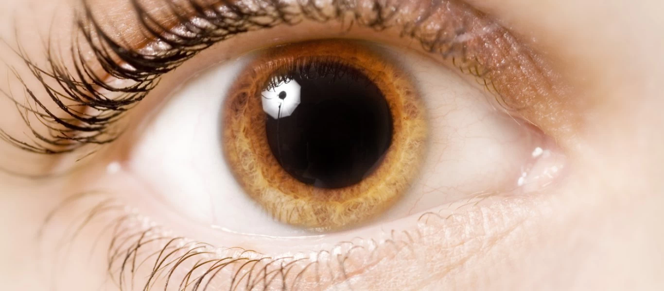 Οι άνθρωποι με μεγαλύτερες κόρες ματιού είναι πιο έξυπνοι υποστηρίζουν Αμερικανοί επιστήμονες